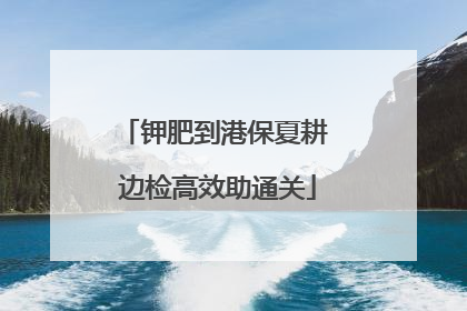 钾肥到港保夏耕 边检高效助通关