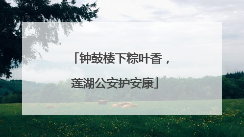 钟鼓楼下粽叶香，莲湖公安护安康