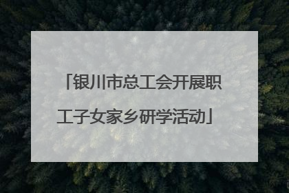 银川市总工会开展职工子女家乡研学活动