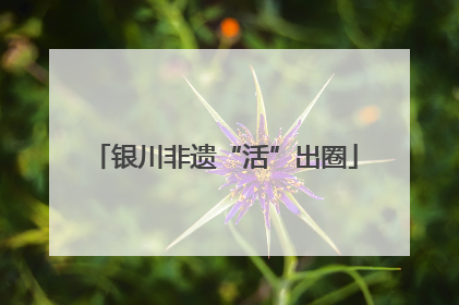 银川非遗“活”出圈