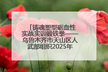 铸魂塑型砺血性 实战实训锻铁拳——乌鲁木齐市天山区人武部组织2025年度民兵集中轮训