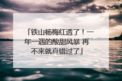 铁山杨梅红透了！一年一遇的酸甜风暴 再不来就真错过了