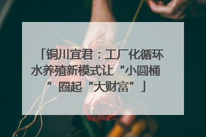 铜川宜君：工厂化循环水养殖新模式让“小圆桶”圈起“大财富”