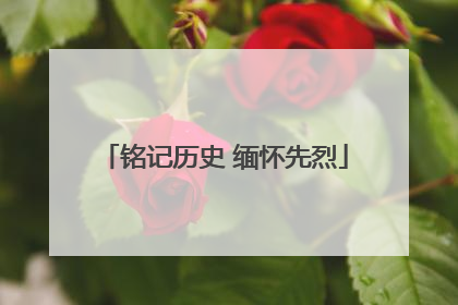 铭记历史 缅怀先烈
