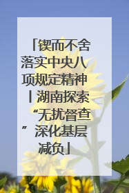 锲而不舍落实中央八项规定精神丨湖南探索“无扰督查”深化基层减负
