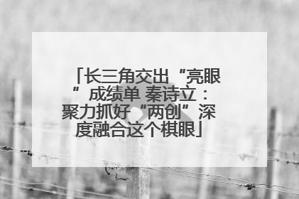 长三角交出“亮眼”成绩单 秦诗立：聚力抓好“两创”深度融合这个棋眼