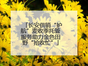 长安供销“护航”麦收季托管服务助力金色田野“抢收忙”