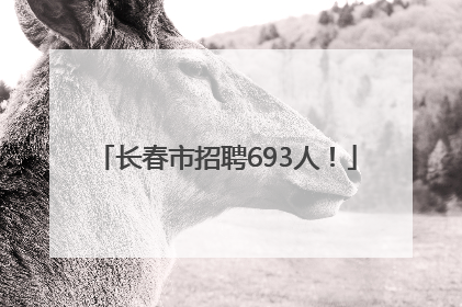 长春市招聘693人！