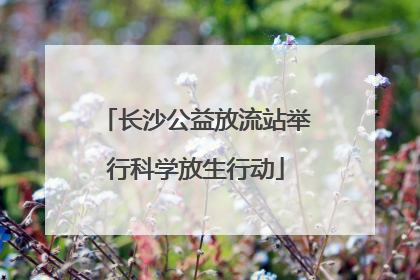 长沙公益放流站举行科学放生行动
