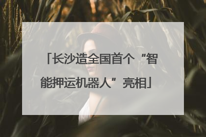 长沙造全国首个“智能押运机器人”亮相
