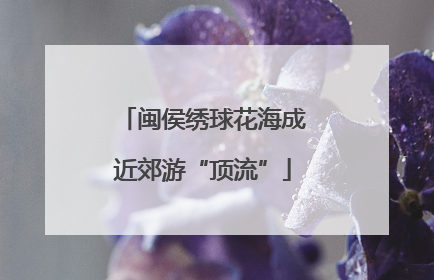 闽侯绣球花海成近郊游“顶流”