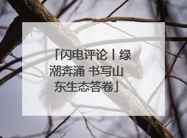 闪电评论丨绿潮奔涌 书写山东生态答卷