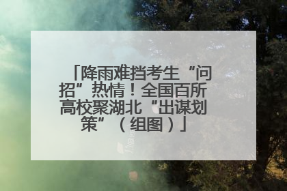 降雨难挡考生“问招”热情！全国百所高校聚湖北“出谋划策”（组图）