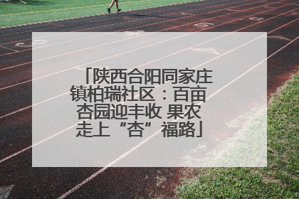 陕西合阳同家庄镇柏瑞社区：百亩杏园迎丰收 果农走上“杏”福路