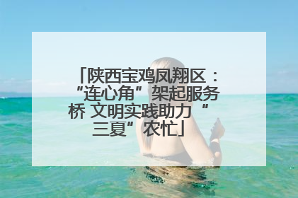 陕西宝鸡凤翔区：“连心角”架起服务桥 文明实践助力“三夏”农忙