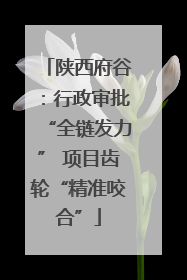 陕西府谷：行政审批“全链发力” 项目齿轮“精准咬合”