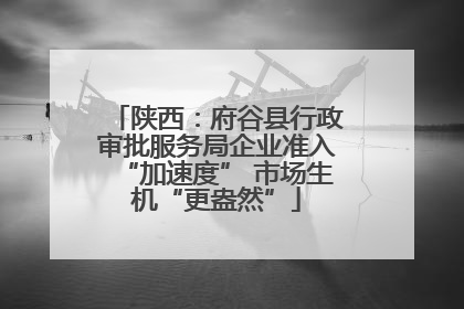 陕西：府谷县行政审批服务局企业准入“加速度” 市场生机“更盎然”