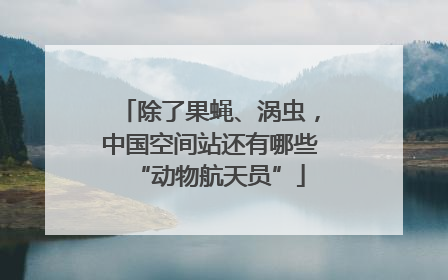除了果蝇、涡虫，中国空间站还有哪些“动物航天员”