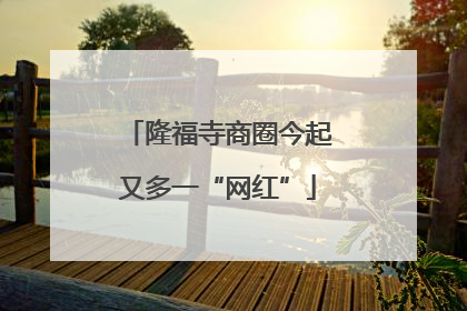 隆福寺商圈今起又多一“网红”