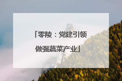 零陵：党建引领 做强蔬菜产业