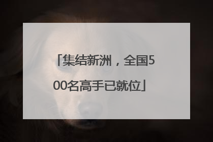 集结新洲，全国500名高手已就位