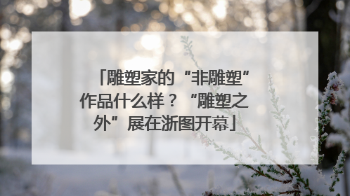 雕塑家的“非雕塑”作品什么样？“雕塑之外”展在浙图开幕