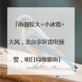 雨强较大+小冰雹+大风，北京多区雷电预警，明日局地暴雨