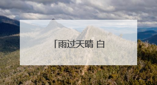 雨过天晴 白头鸟荷花池里找美食｜图集