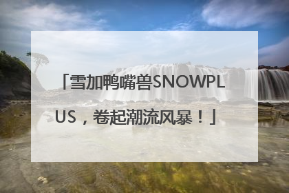 雪加鸭嘴兽SNOWPLUS，卷起潮流风暴！