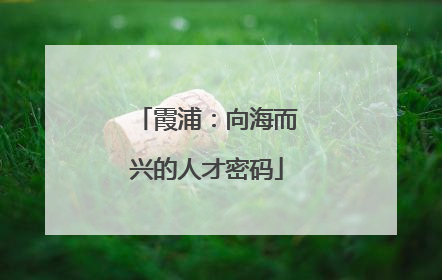 霞浦：向海而兴的人才密码