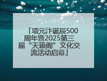 项元汴诞辰500周年暨2025第三届“天籁阁”文化交流活动启幕