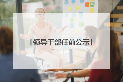 领导干部任前公示