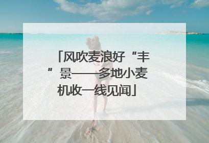 风吹麦浪好“丰”景——多地小麦机收一线见闻