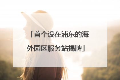 首个设在浦东的海外园区服务站揭牌