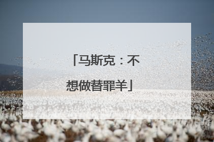 马斯克：不想做替罪羊