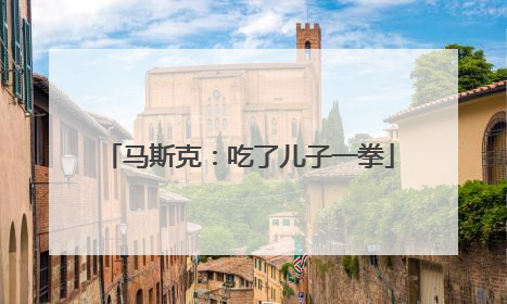 马斯克：吃了儿子一拳