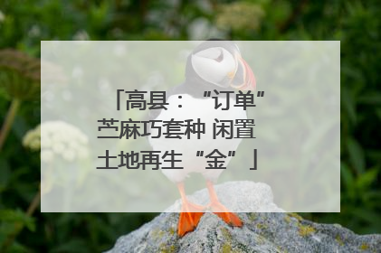 高县：“订单”苎麻巧套种 闲置土地再生“金”