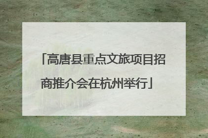 高唐县重点文旅项目招商推介会在杭州举行