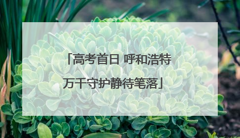 高考首日 呼和浩特万千守护静待笔落