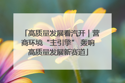 高质量发展看汽开｜营商环境“主引擎” 轰响高质量发展新赛道