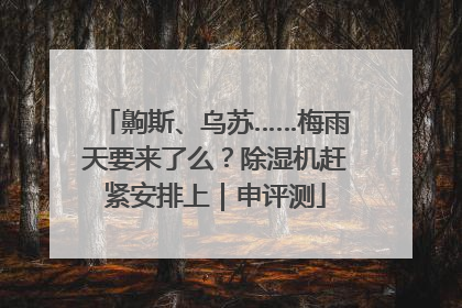 齁斯、乌苏……梅雨天要来了么？除湿机赶紧安排上｜申评测