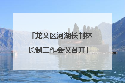 龙文区河湖长制林长制工作会议召开