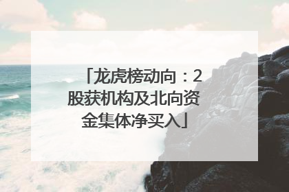 龙虎榜动向：2股获机构及北向资金集体净买入