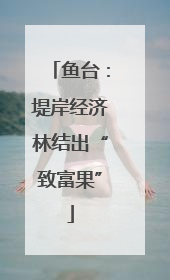 鱼台：堤岸经济林结出“致富果”