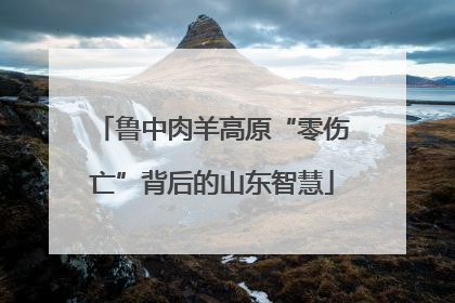 鲁中肉羊高原“零伤亡”背后的山东智慧