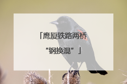 鹰厦铁路两桥“钢换混”