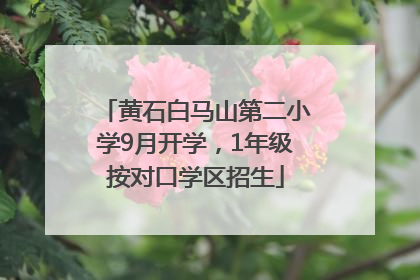 黄石白马山第二小学9月开学，1年级按对口学区招生