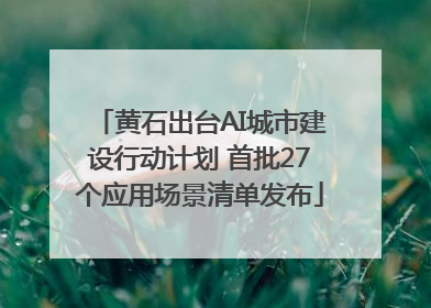 黄石出台AI城市建设行动计划 首批27个应用场景清单发布