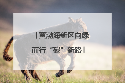 黄渤海新区向绿而行“碳”新路