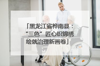 黑龙江省桦南县：“三色”匠心织锦绣 绘就治理新画卷